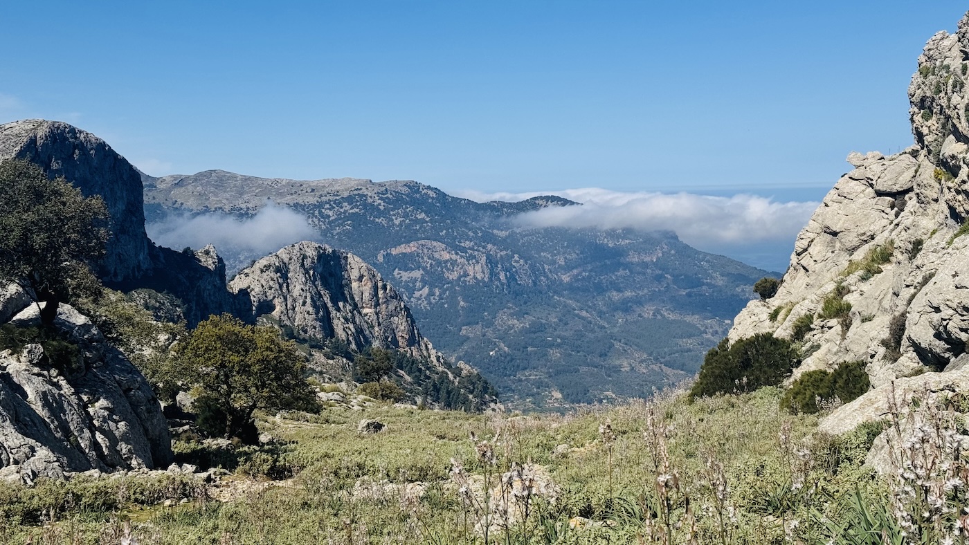 Mallorca Photo 4